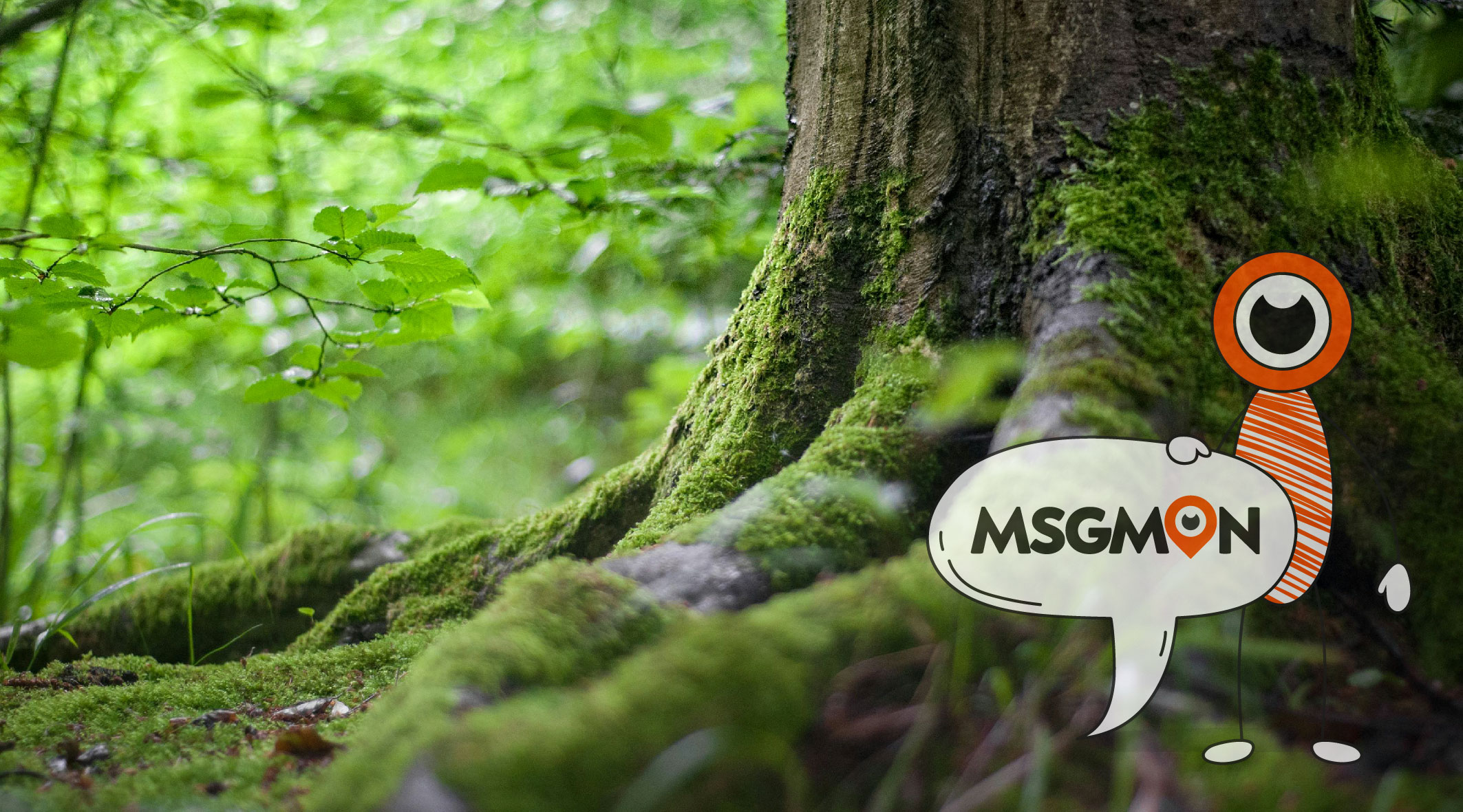 슈얼 스웨디시 차이점