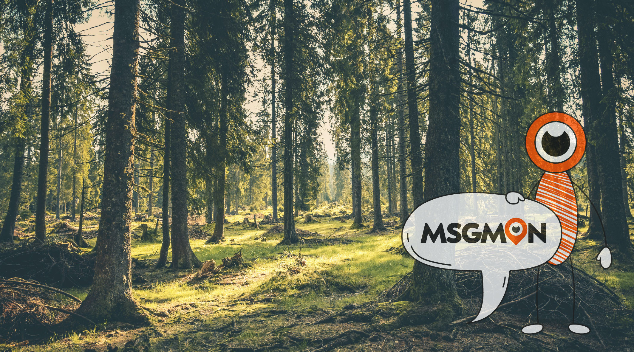 슈얼 스웨디시 차이점