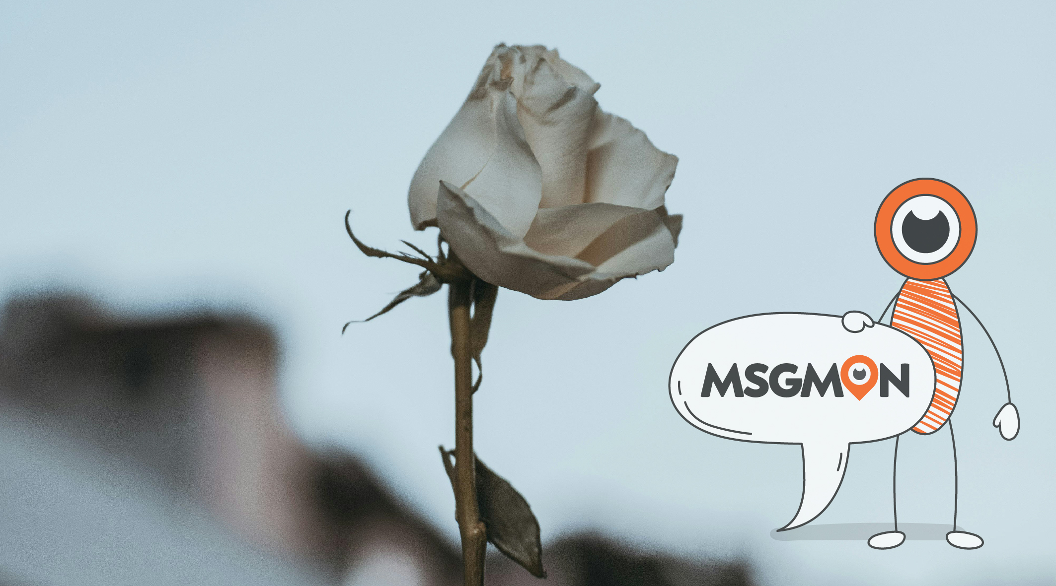 스웨디시 스페셜 코스