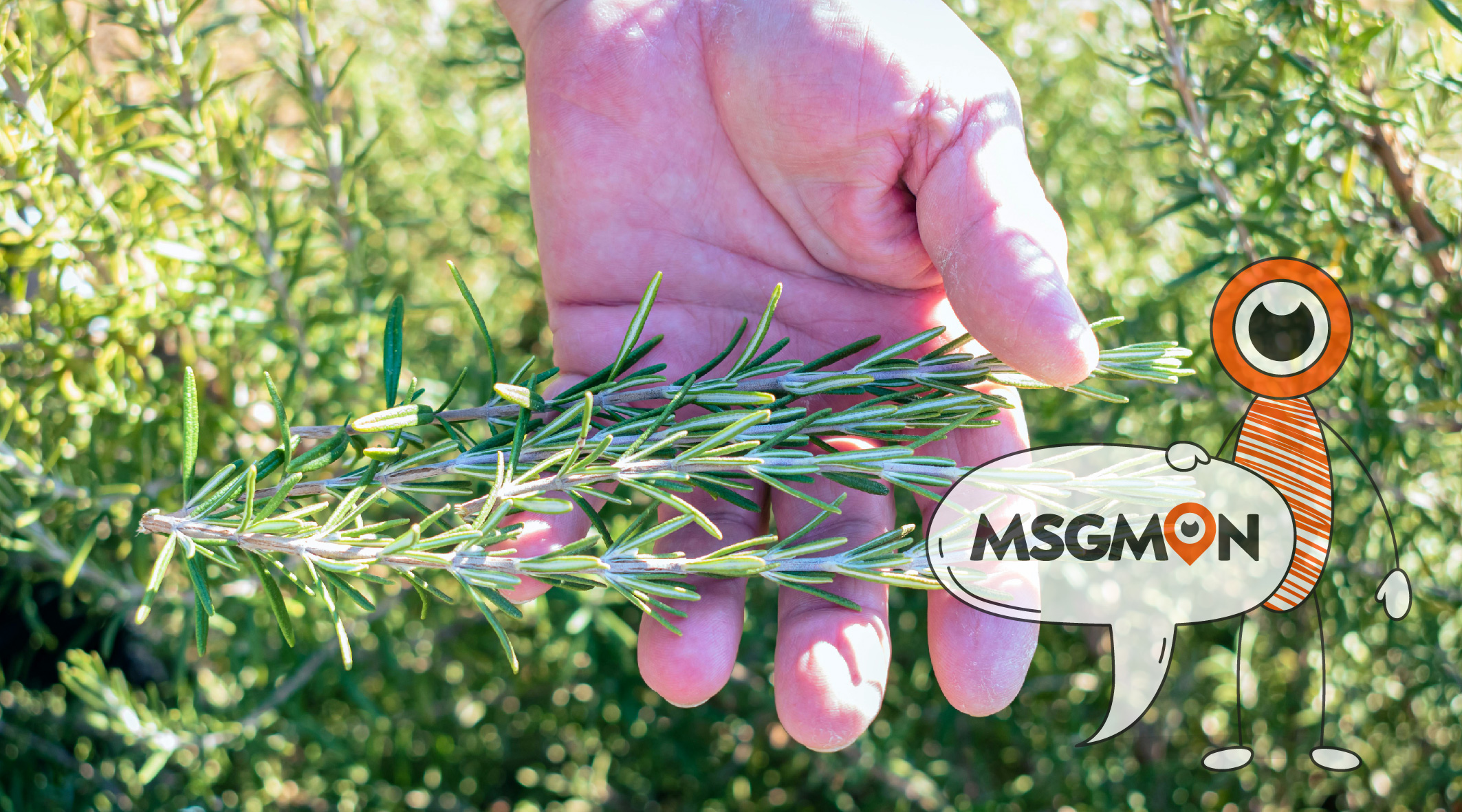 타이마사지 꿀팁 네번째