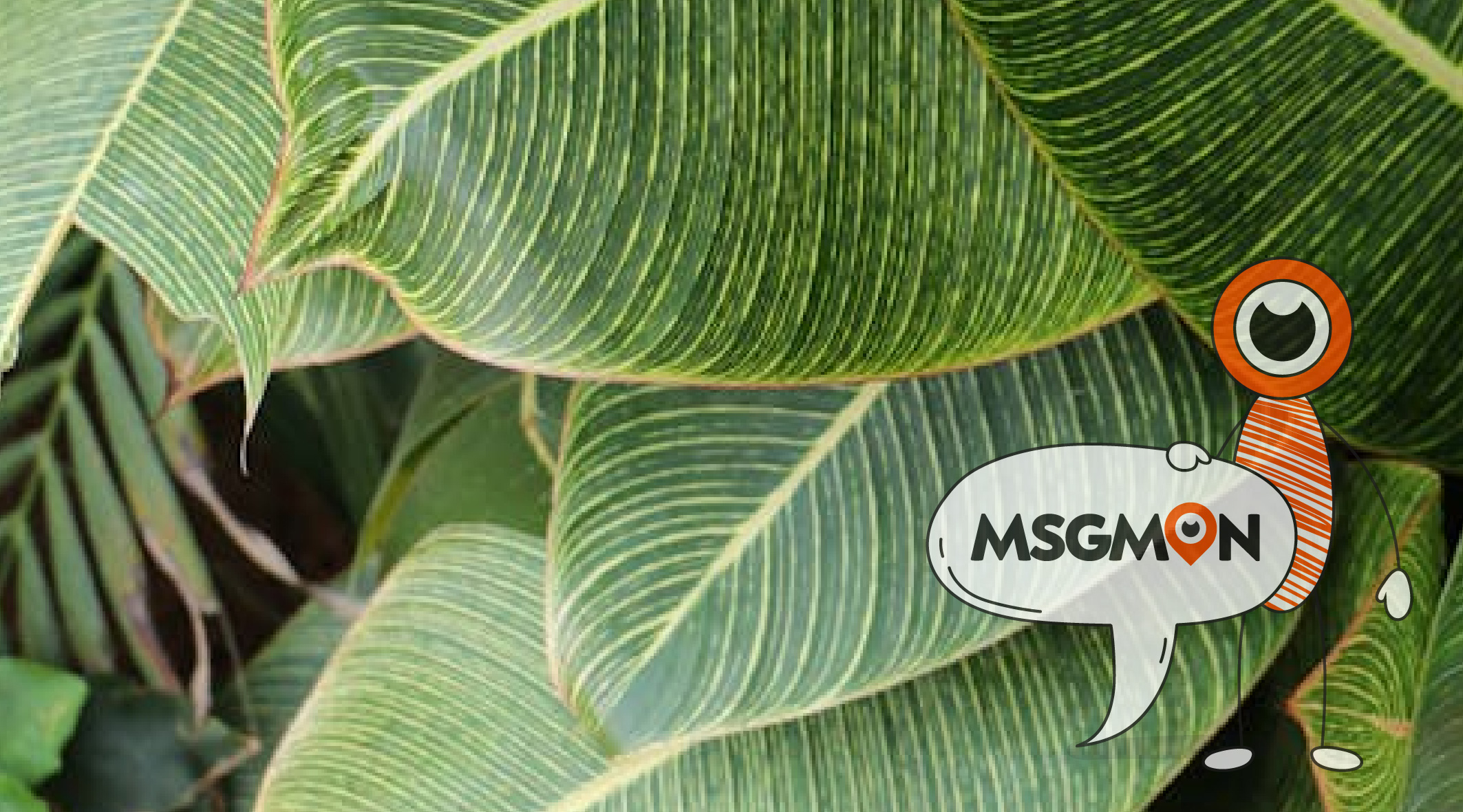 스웨디시 & 로미로미