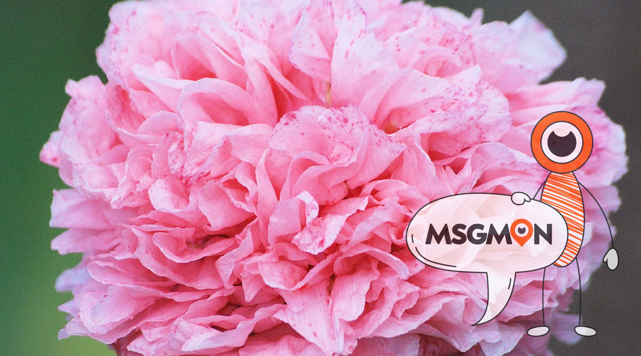 스웨디시 스페셜 코스