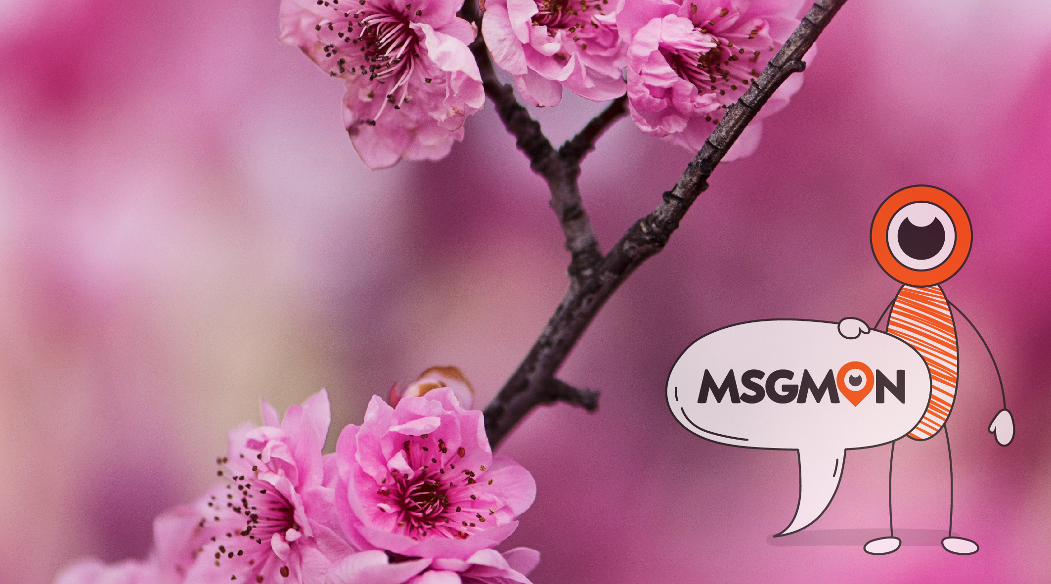 스웨디시 스페셜 코스