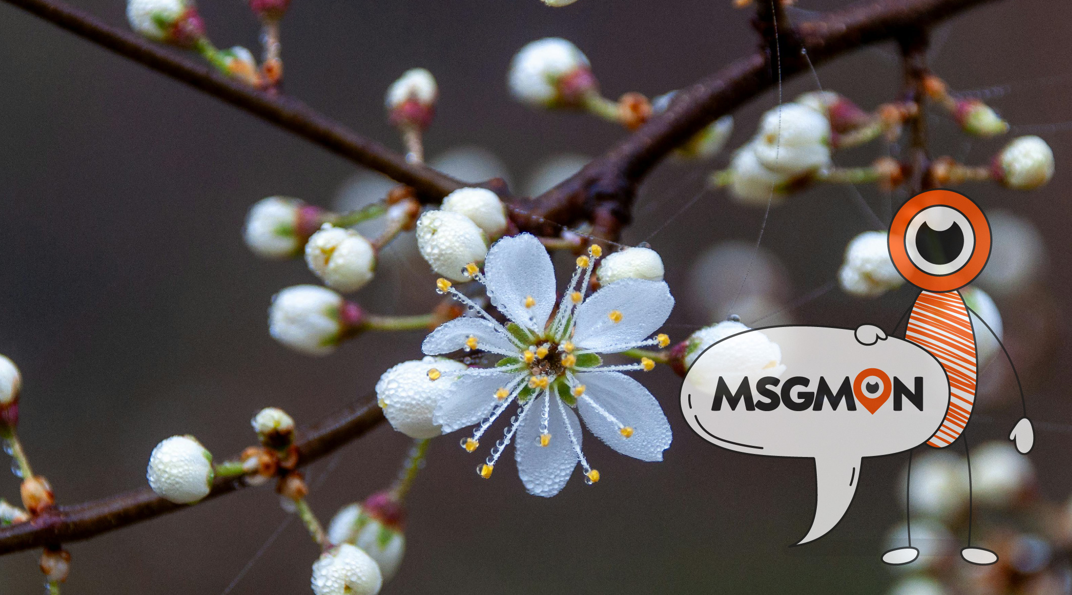 마사지샵 카운터 알바