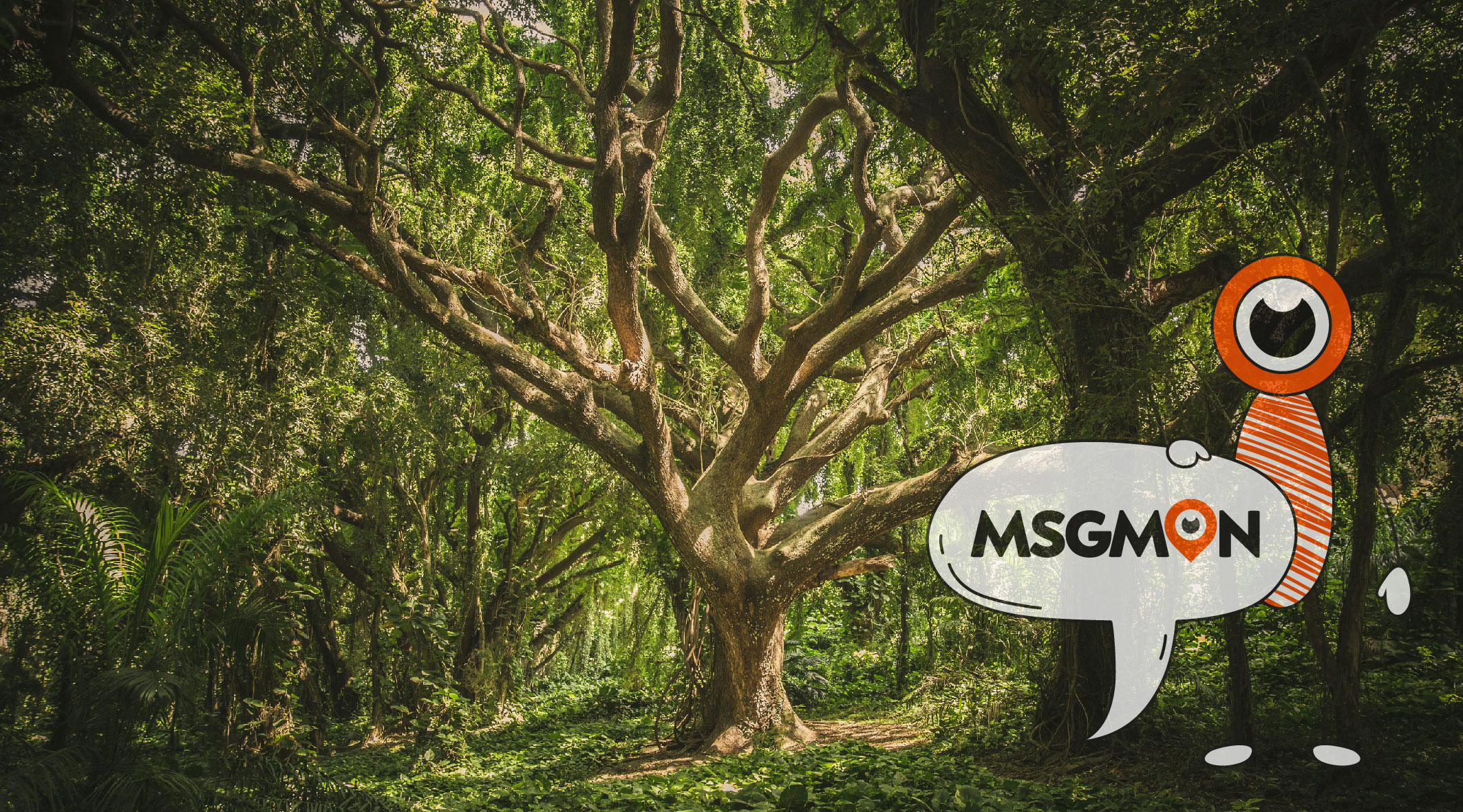 슈얼 스웨디시 차이점