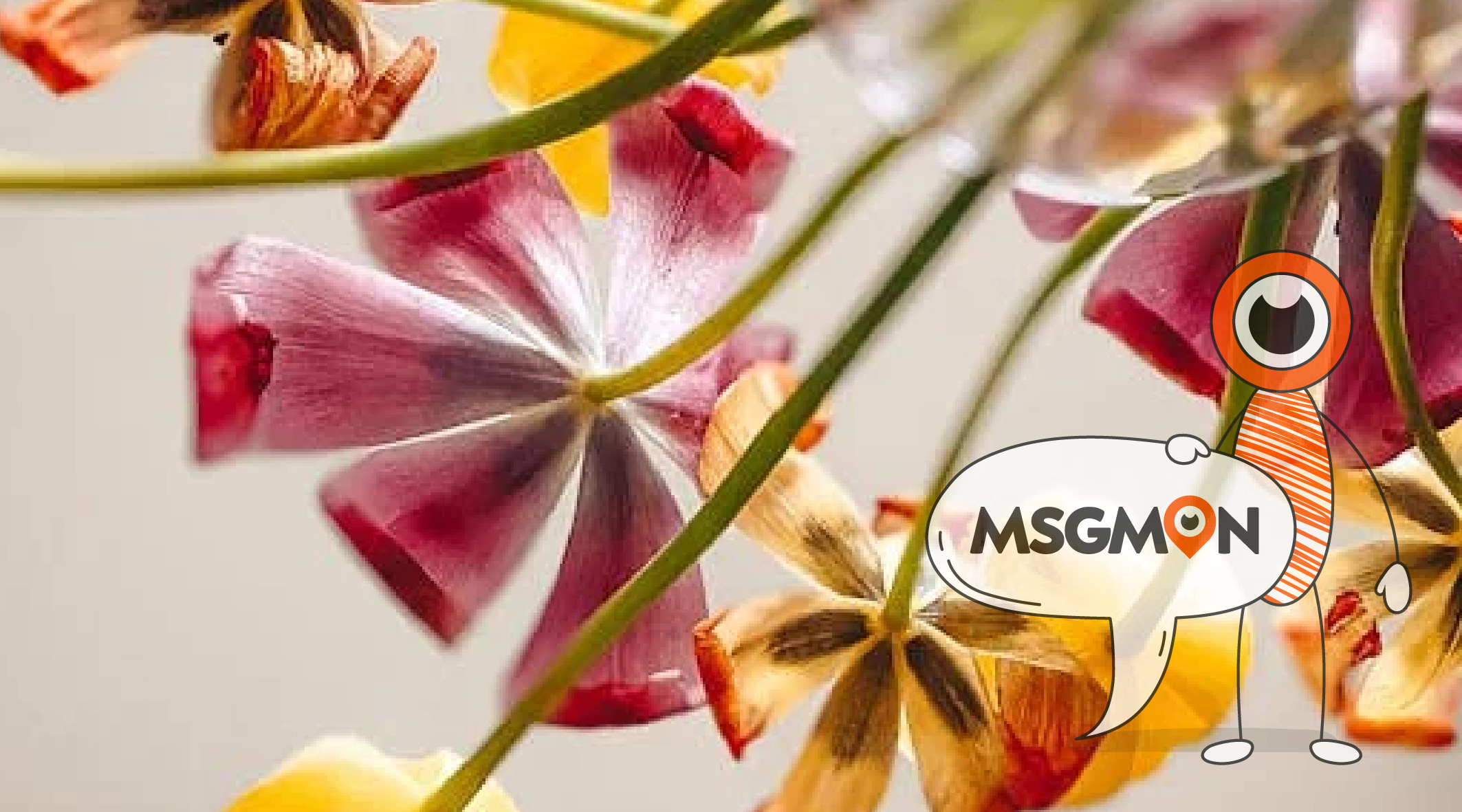 드라이마사지 뜻