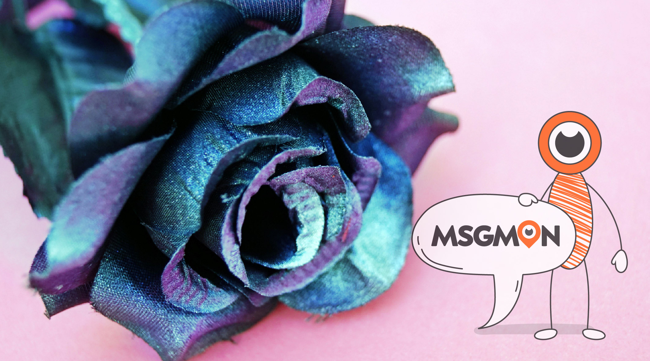 스웨디시와 연관성