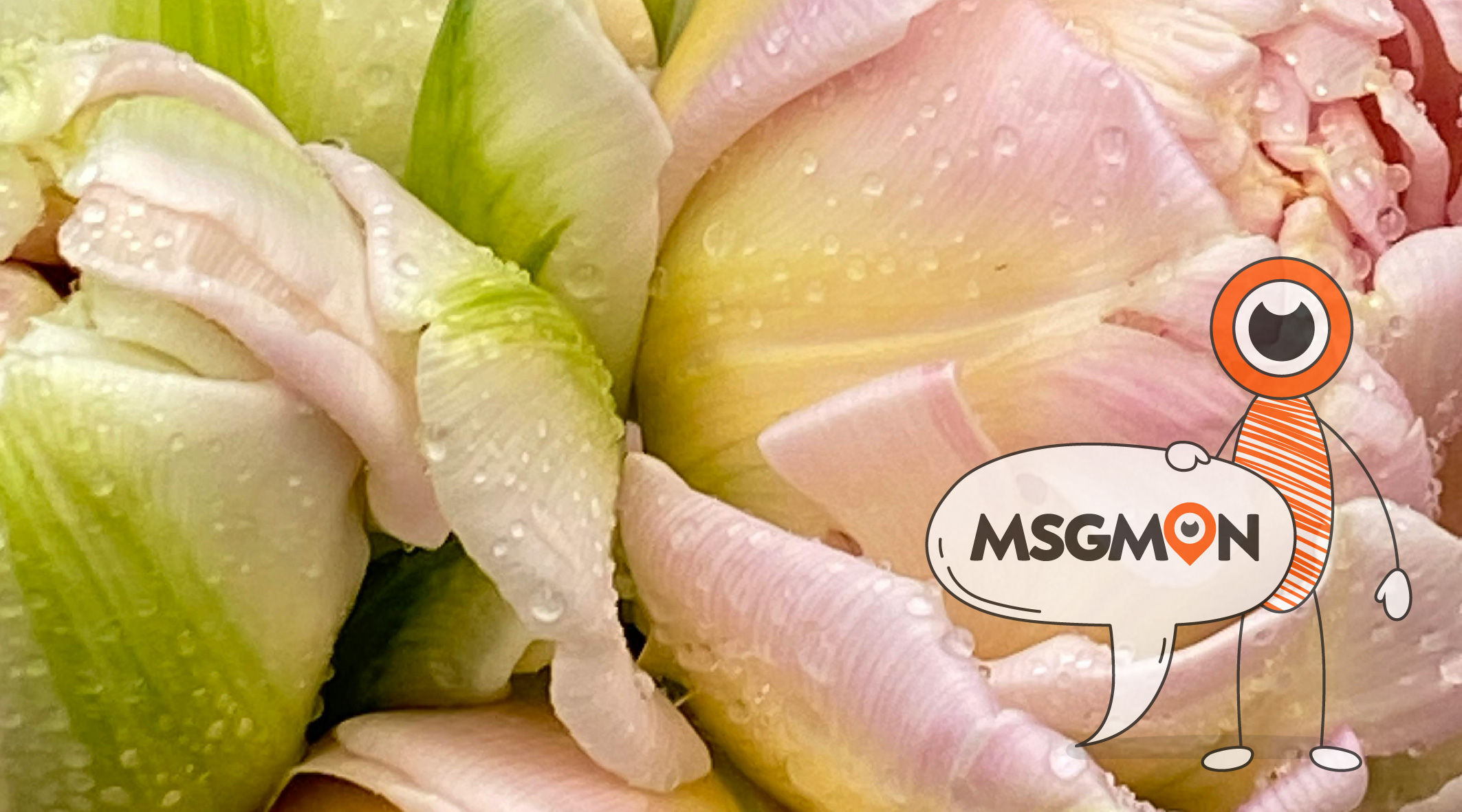 스웨디시와 타이 마사지 차이점