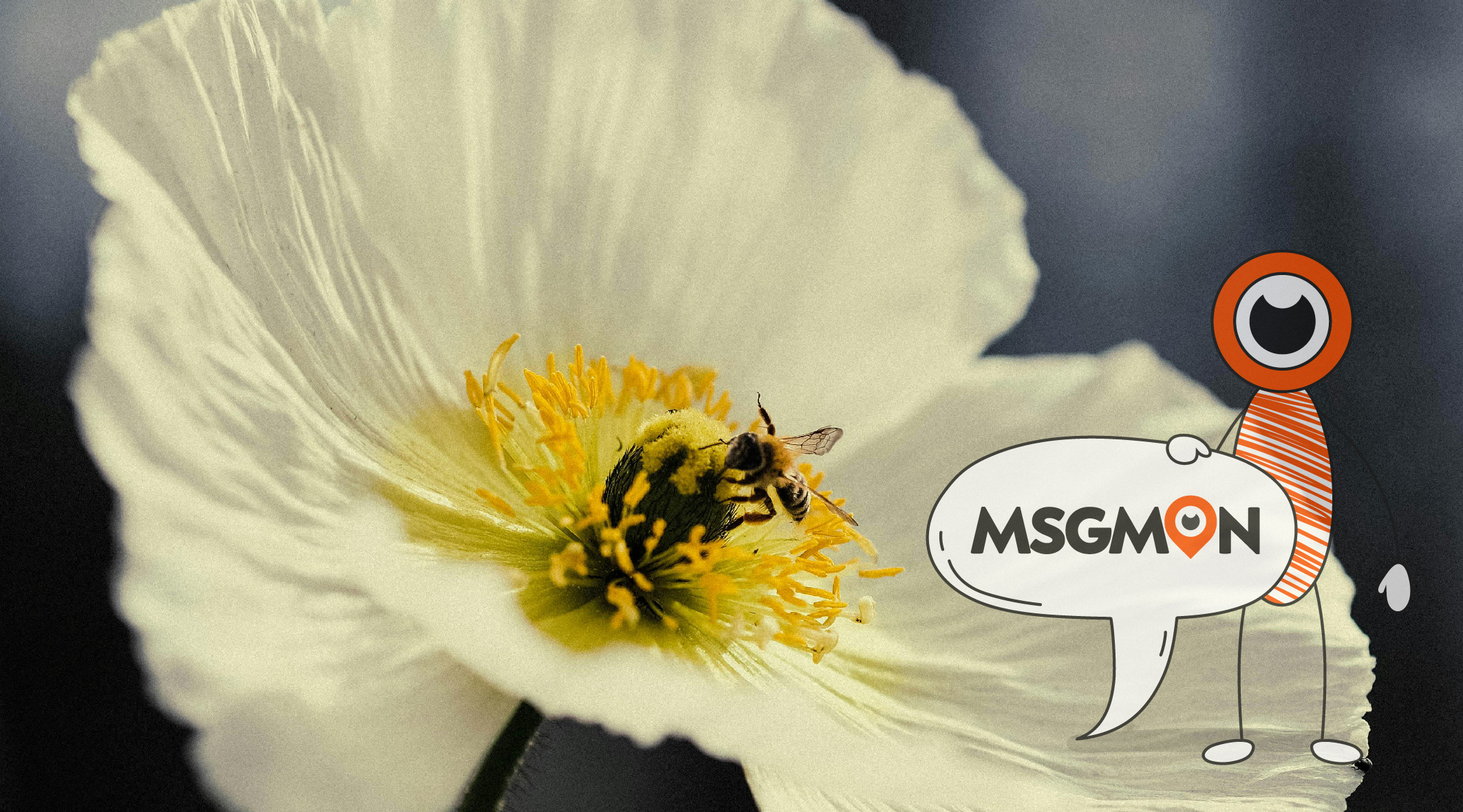 스웨디시 부작용