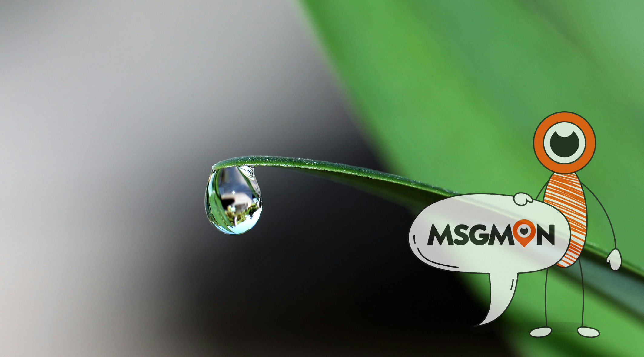 습식 마사지 종류