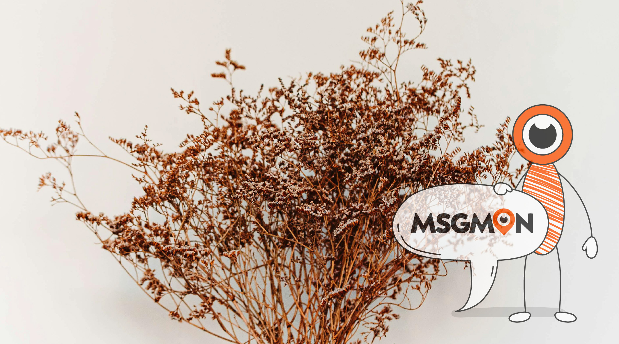 건식마사지 종류