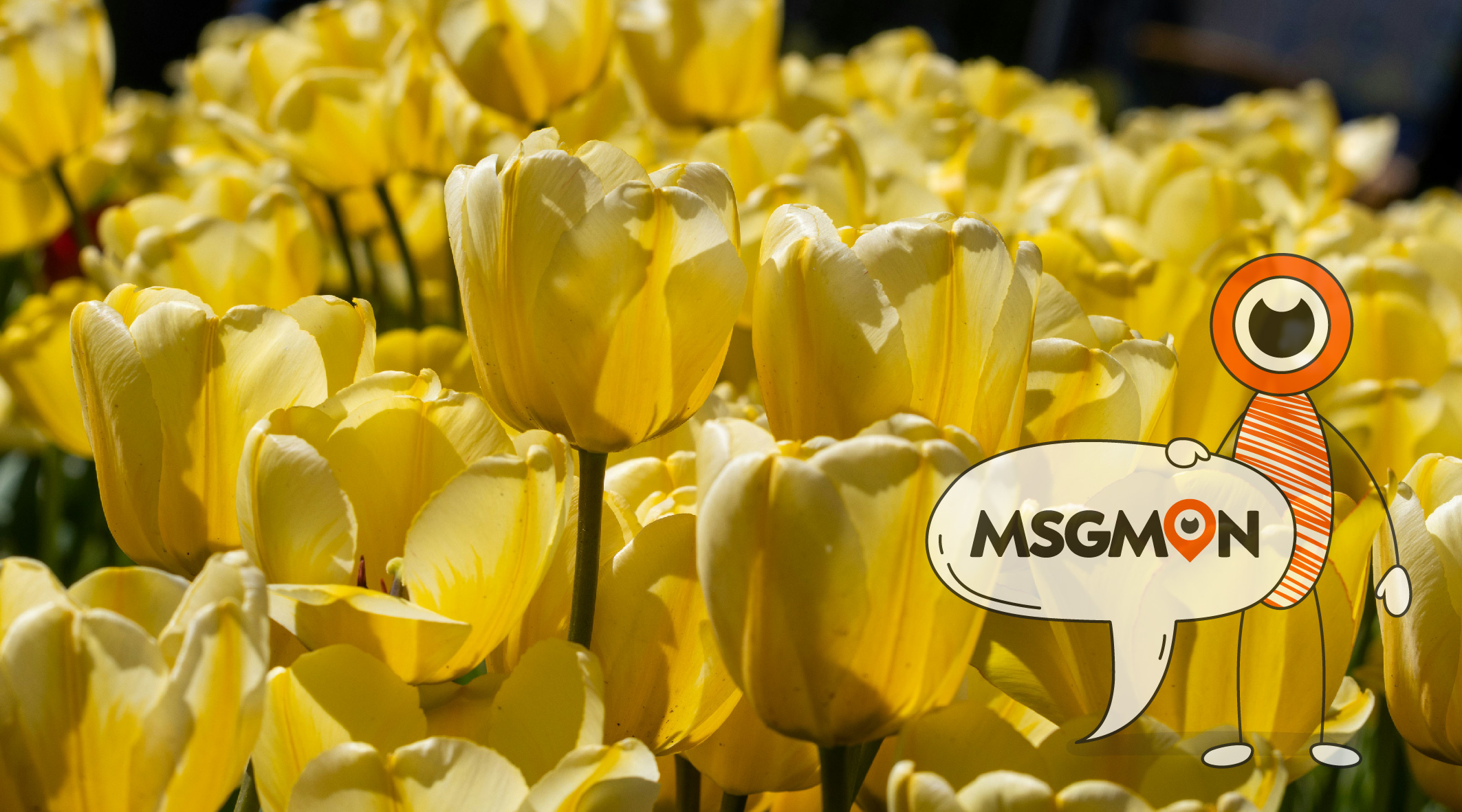 마사지 단속 시간