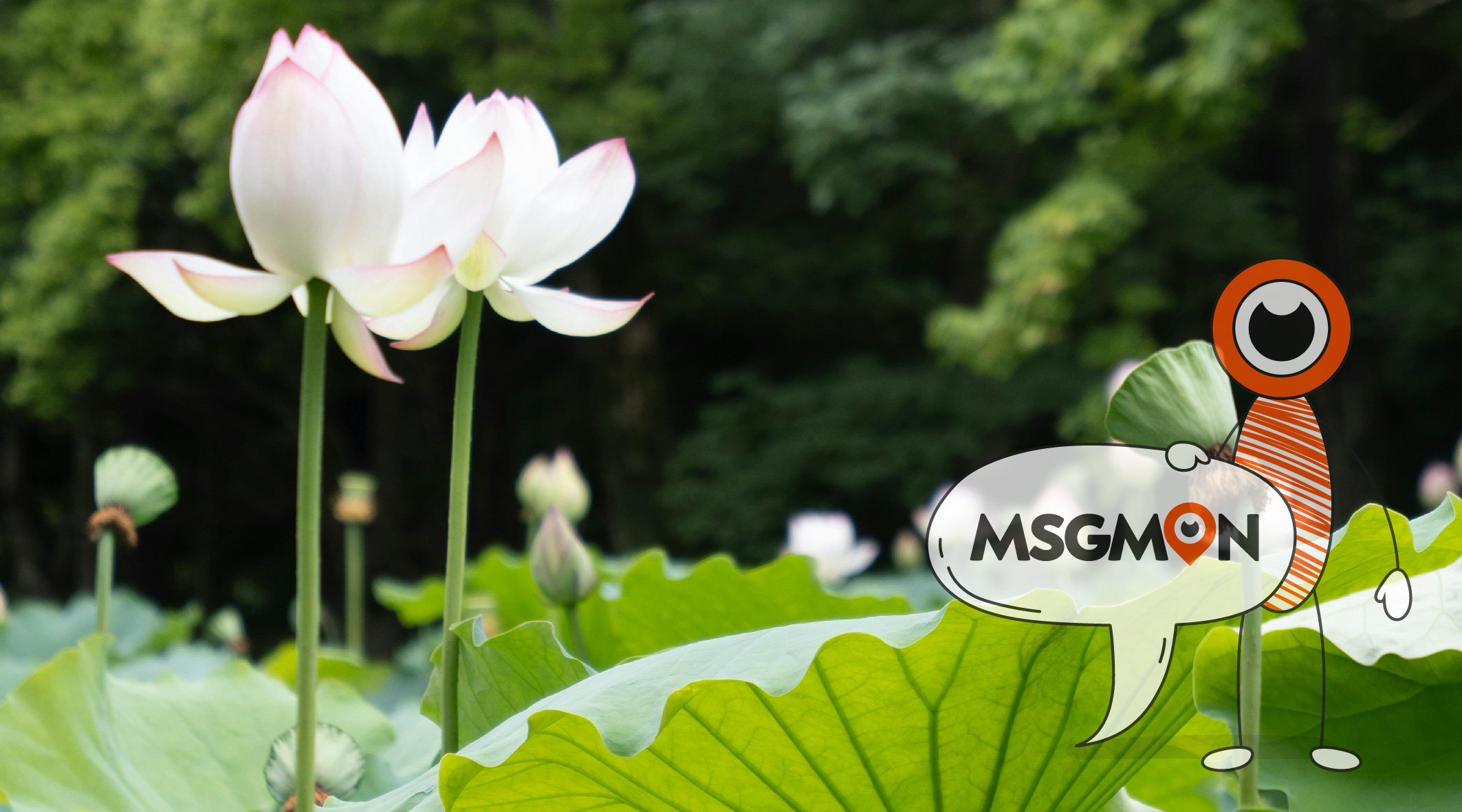 마사지 관리사 지명