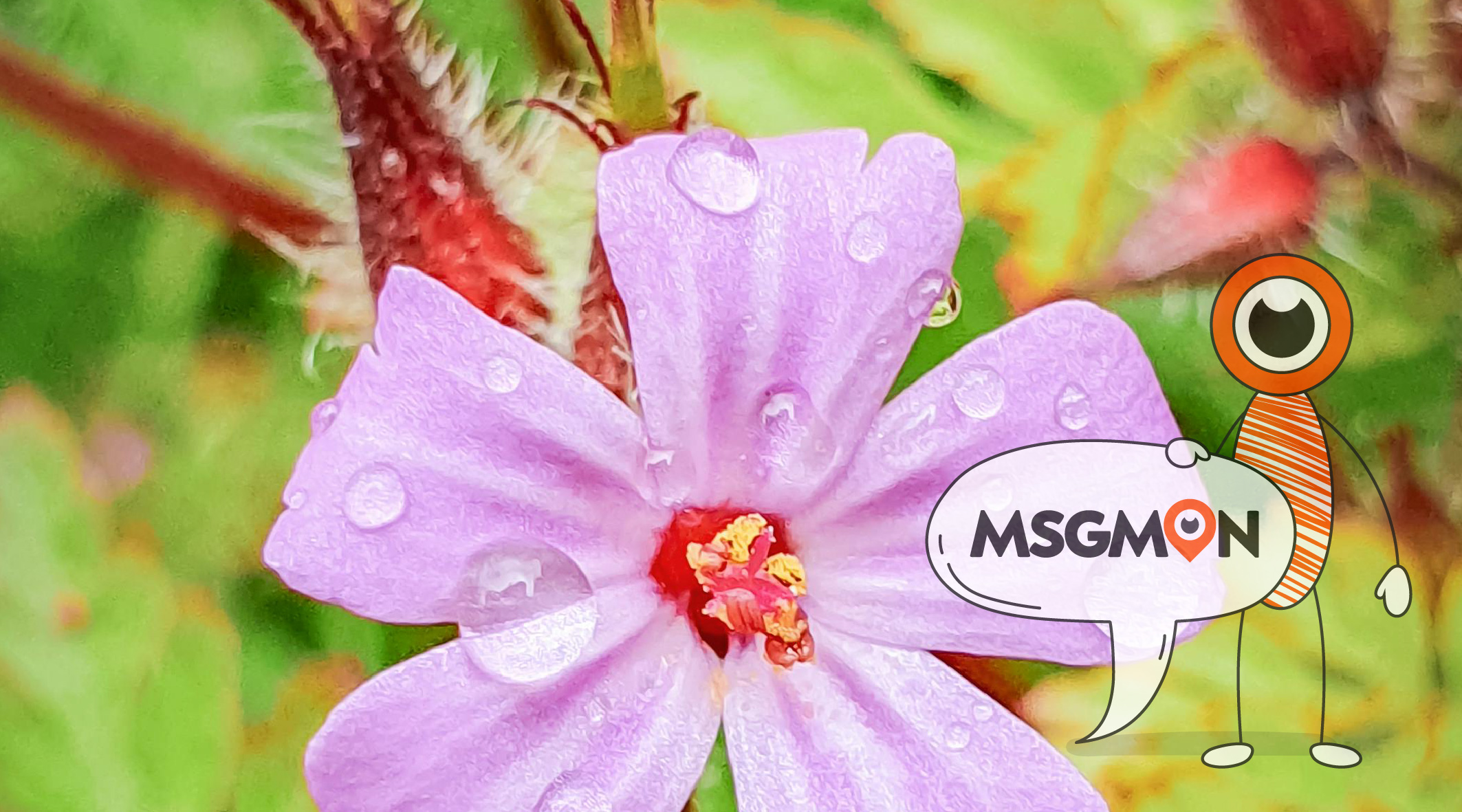 마사지 관리사 지명