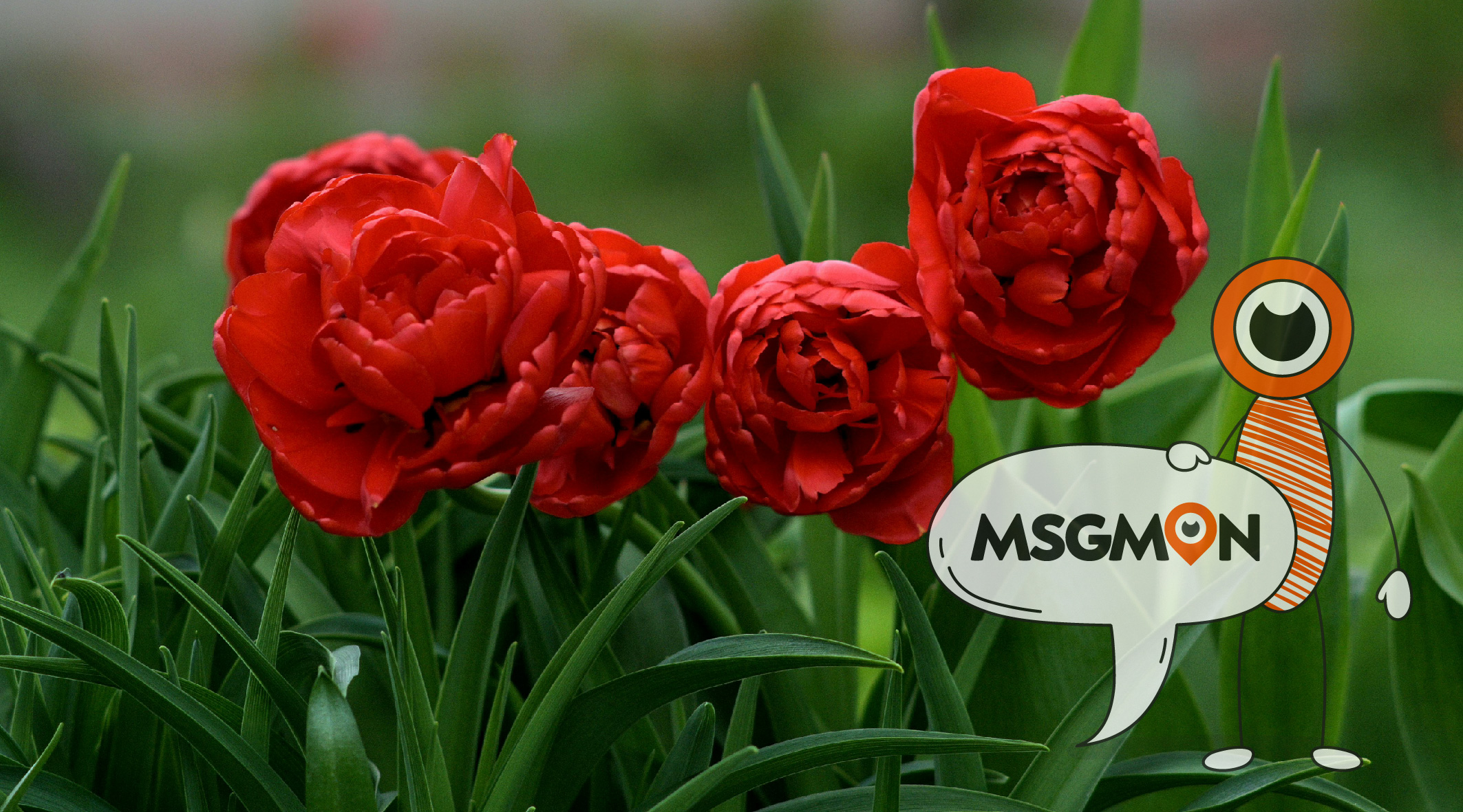 마사지 단속 시간