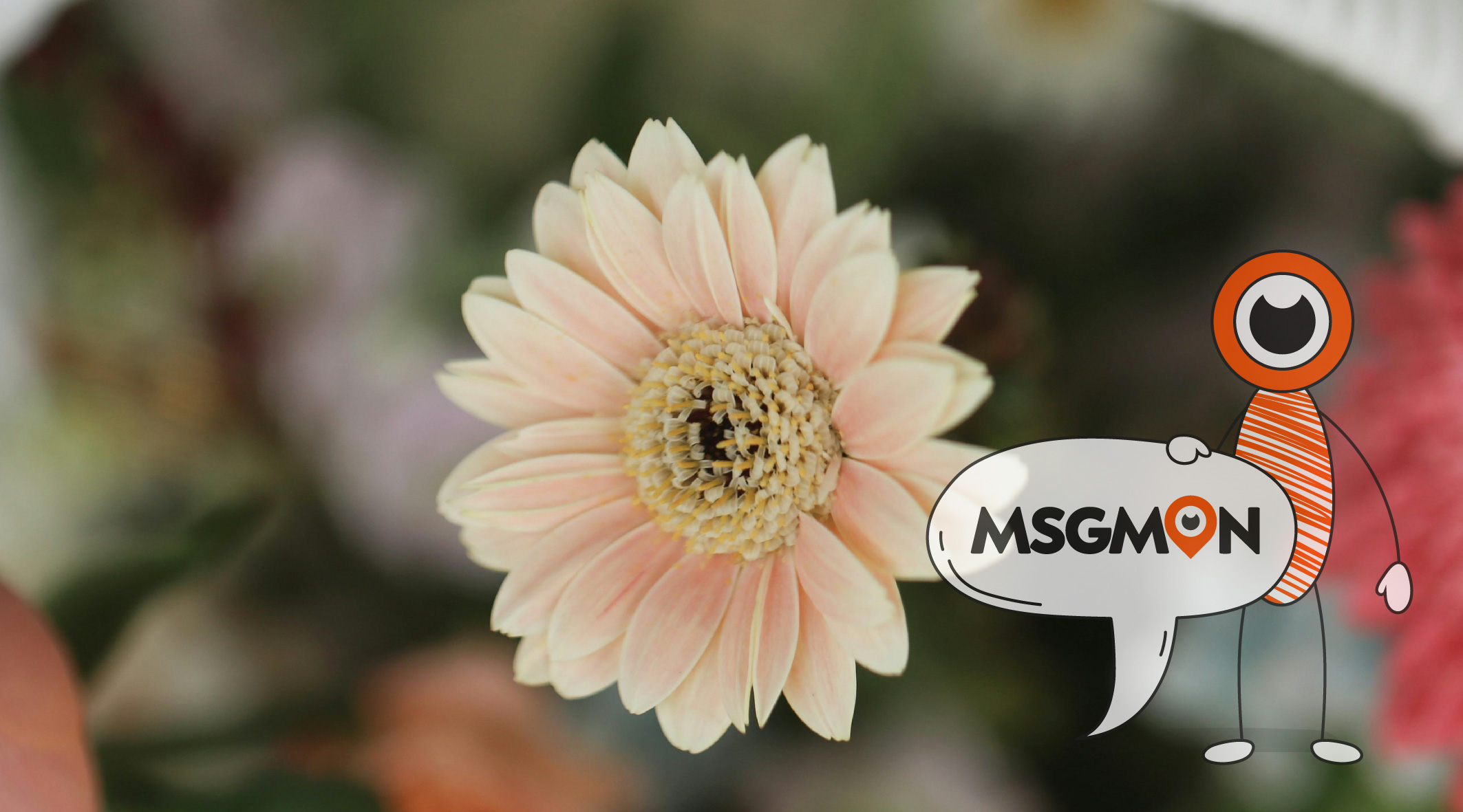 드라이 스웨디시 뜻