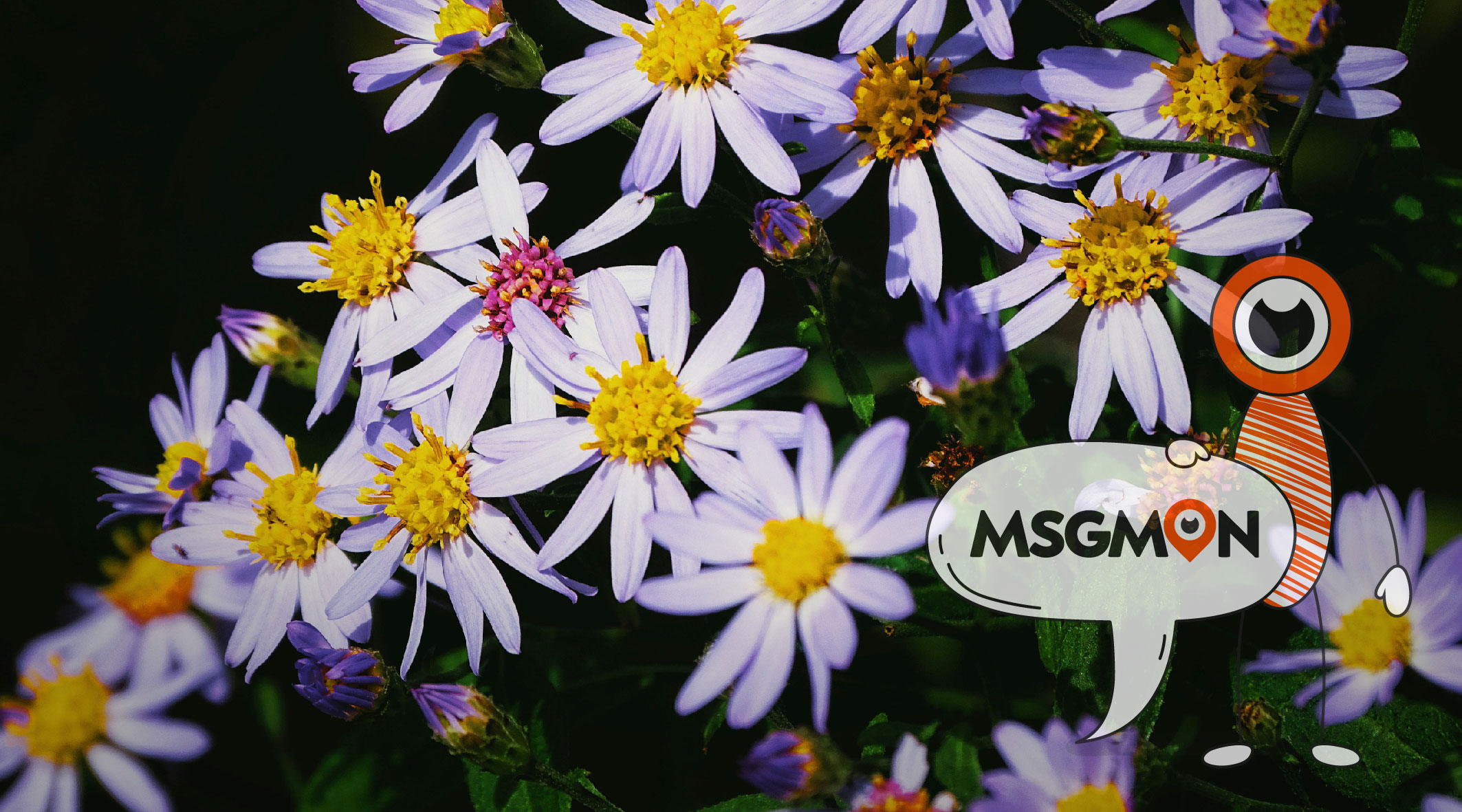 로미로미와 스웨디시