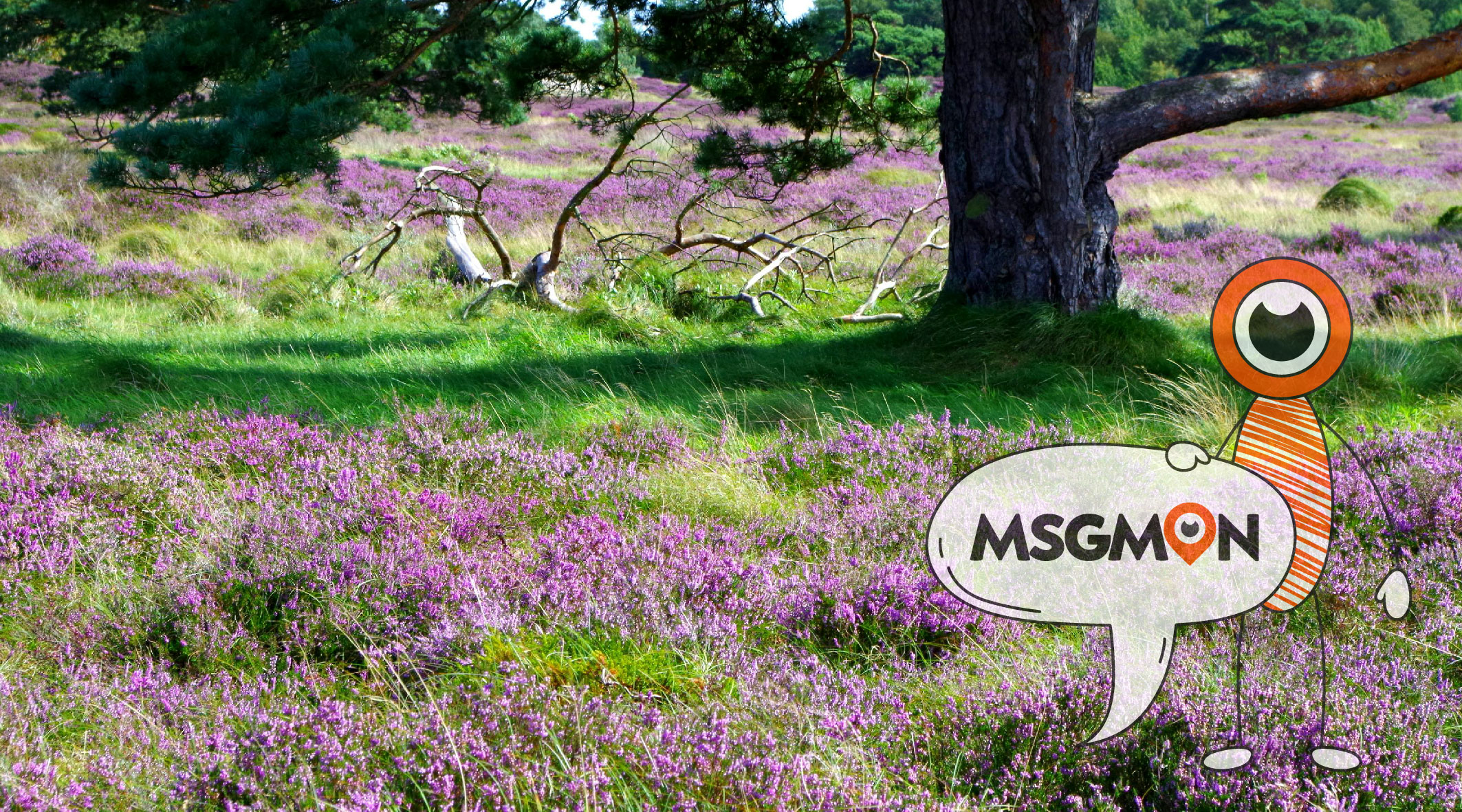 스웨디시 관리사 프로필