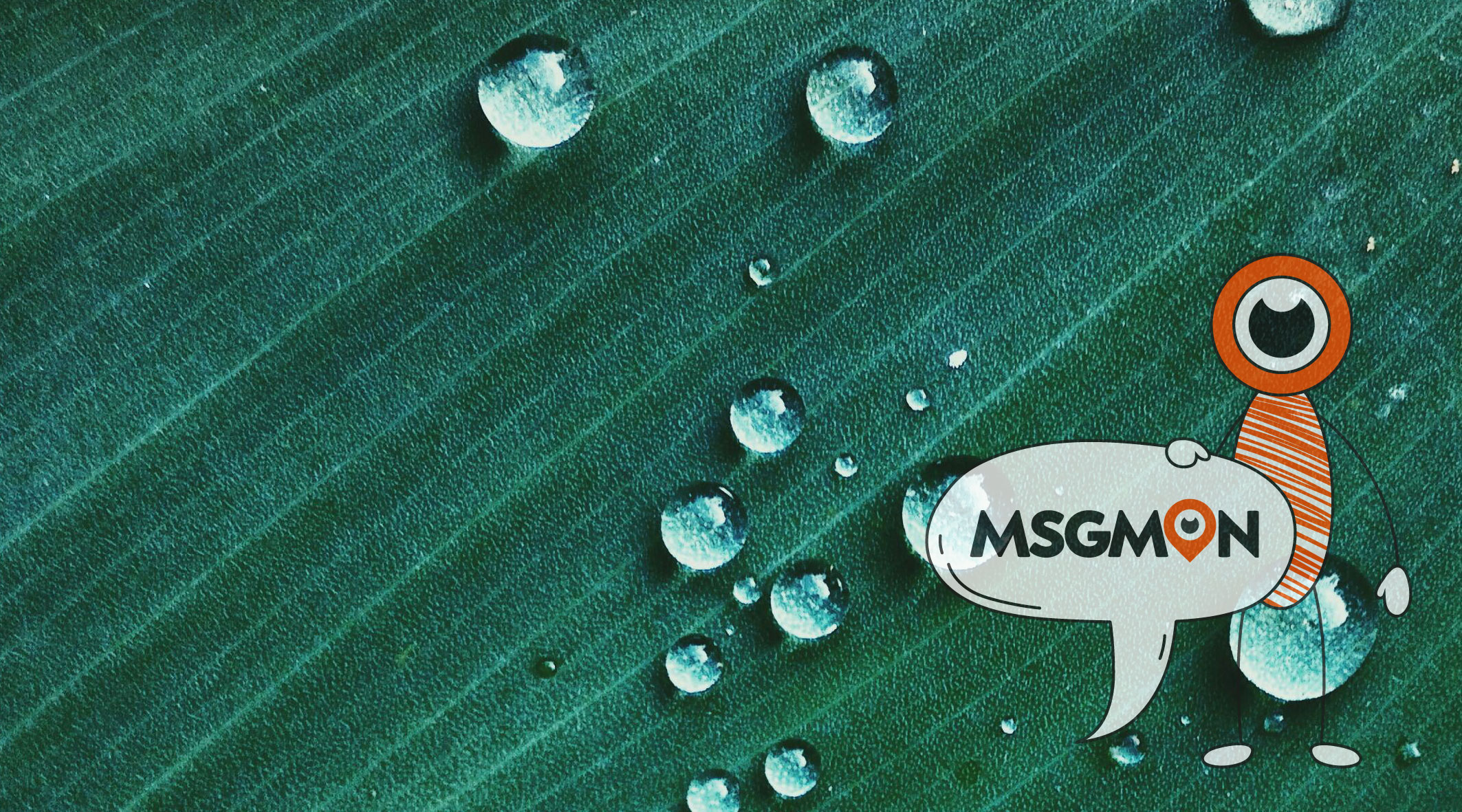 와추마사지 뜻3