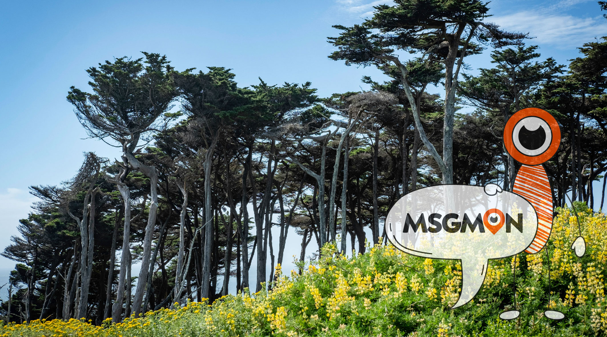 대표적인 로미로미 은어