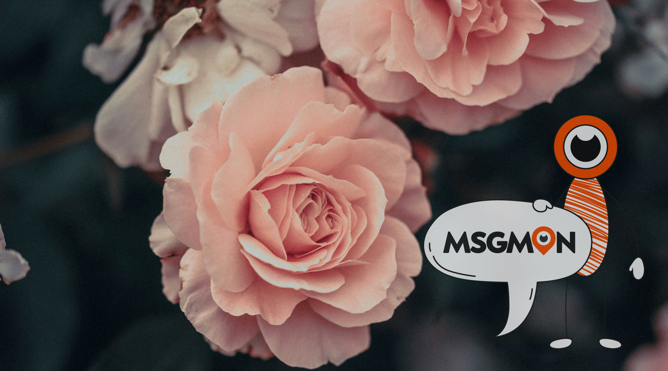 로미로미의 역사