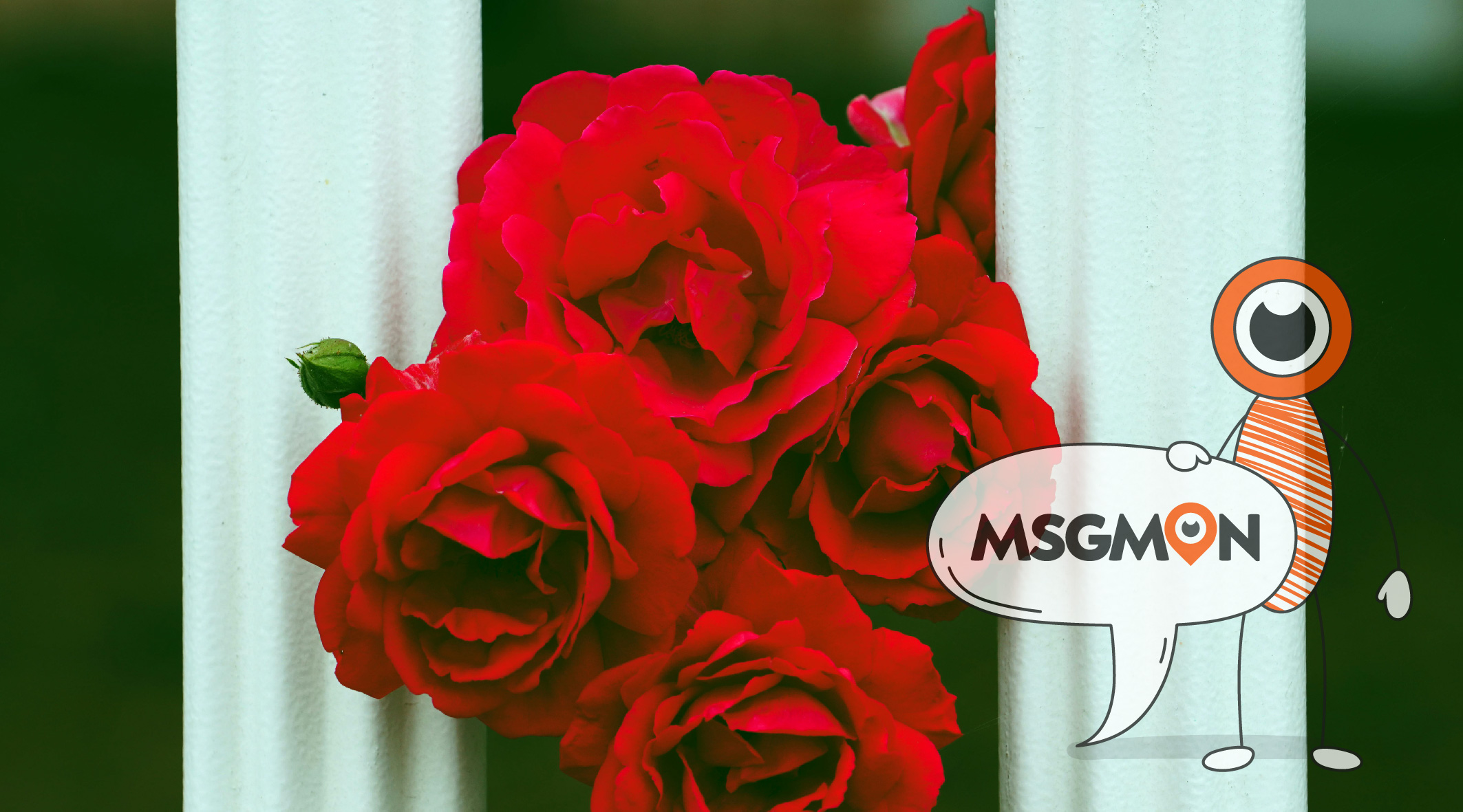 드라이 스웨디시 뜻