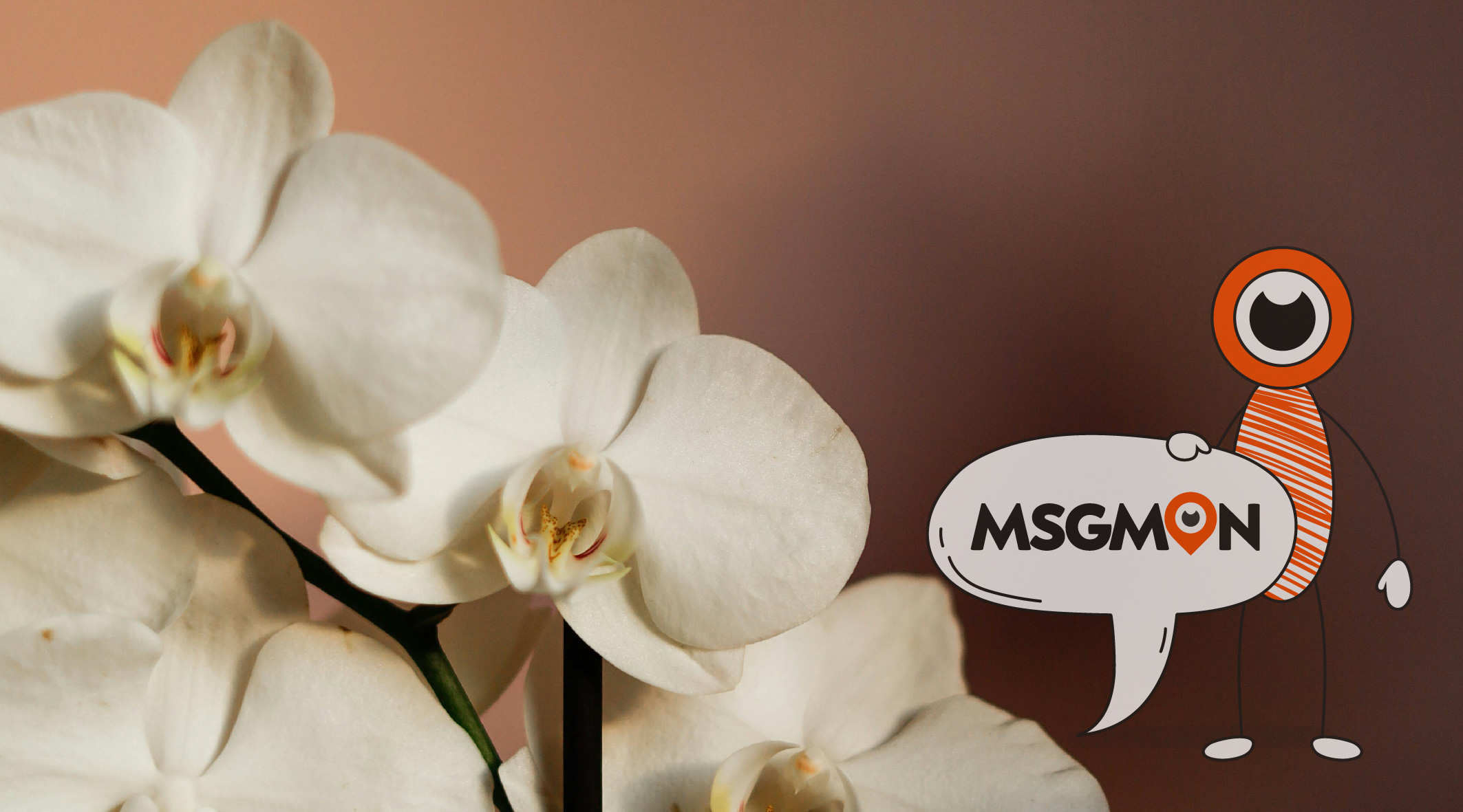 드라이 스웨디시 뜻