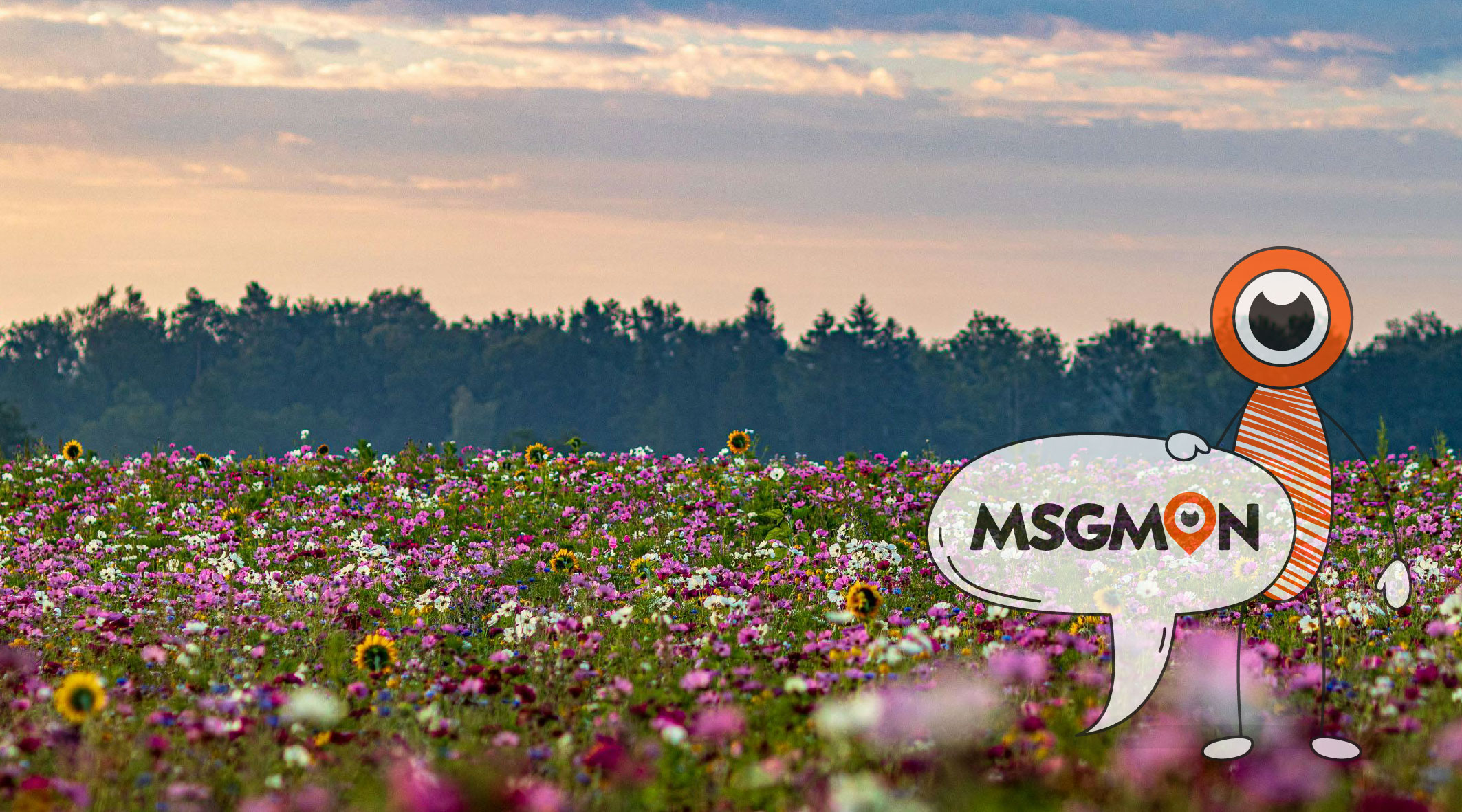 림프 스웨디시 뜻