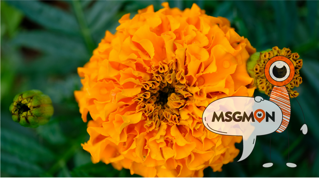 마사지를 받을 때 옷에 대한 팁