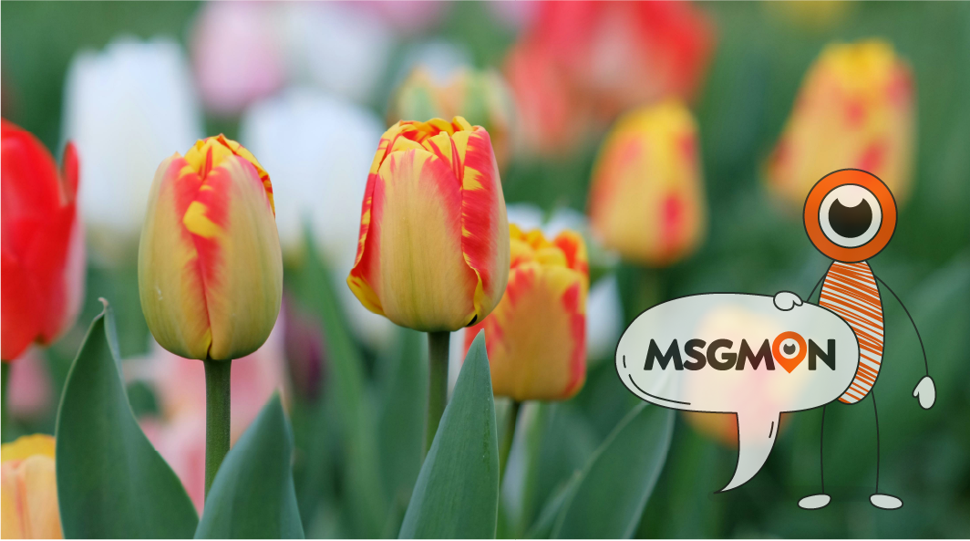 식사 후 2시간 기다리세요