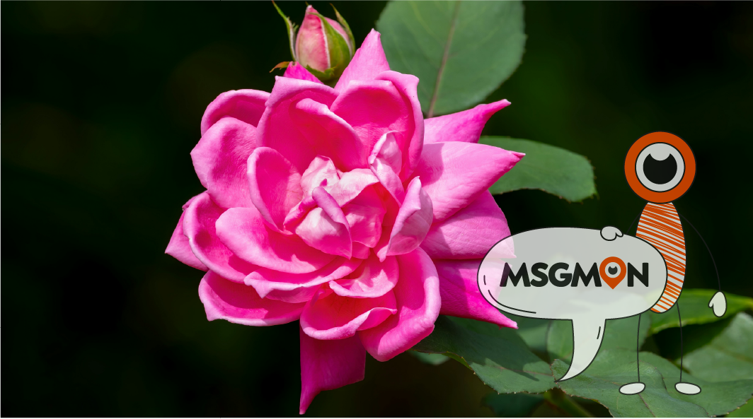 내상 없이 편하게 받는 팁