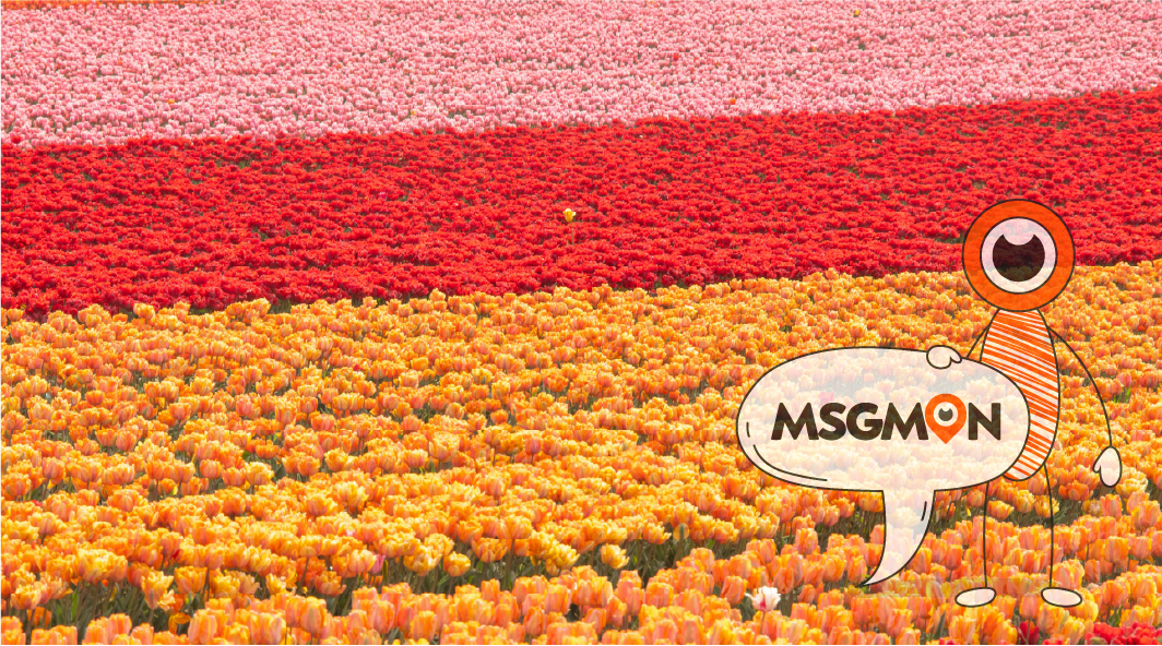 주요 마사지 힐링 코스 종류