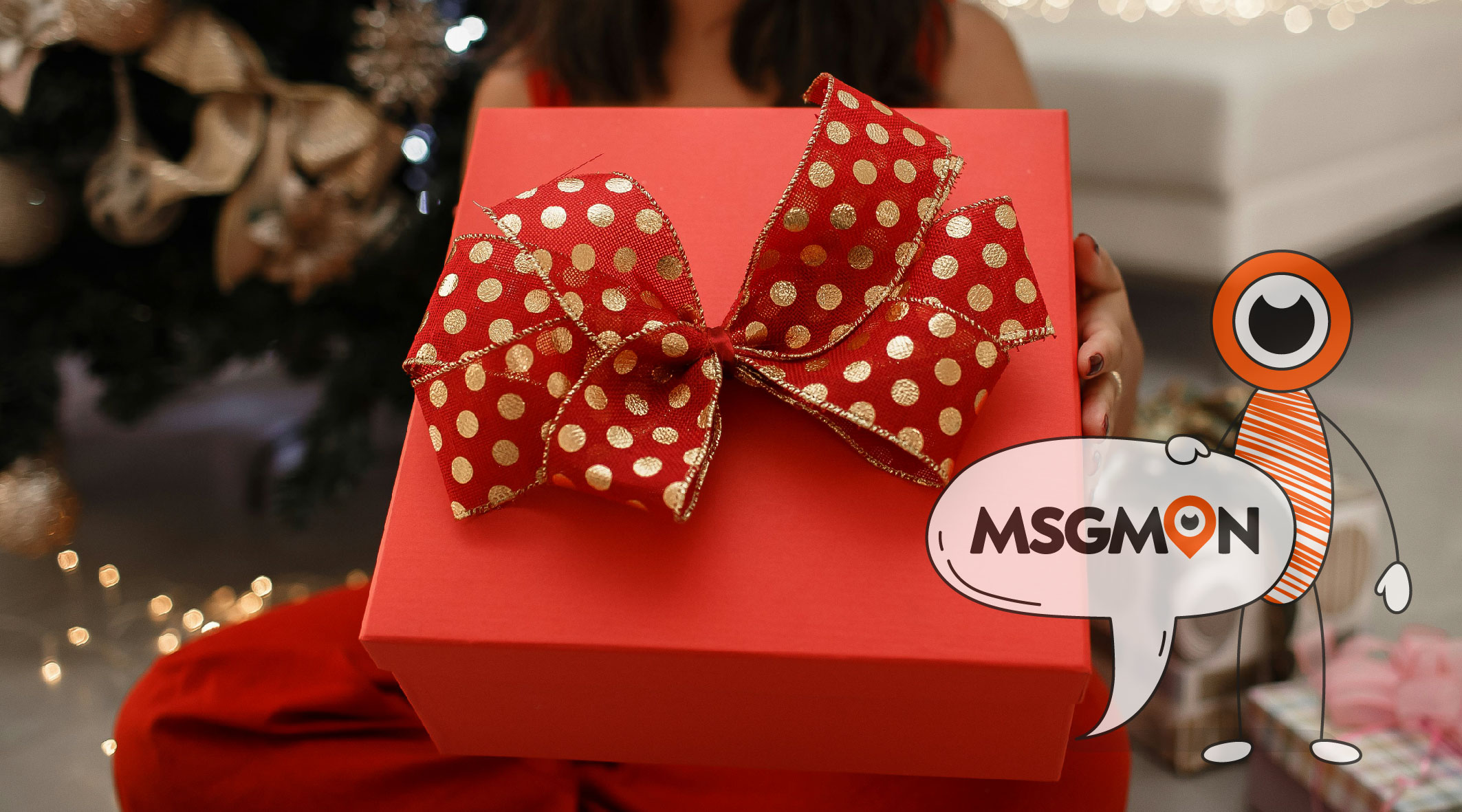 스웨디시 호구 뜻