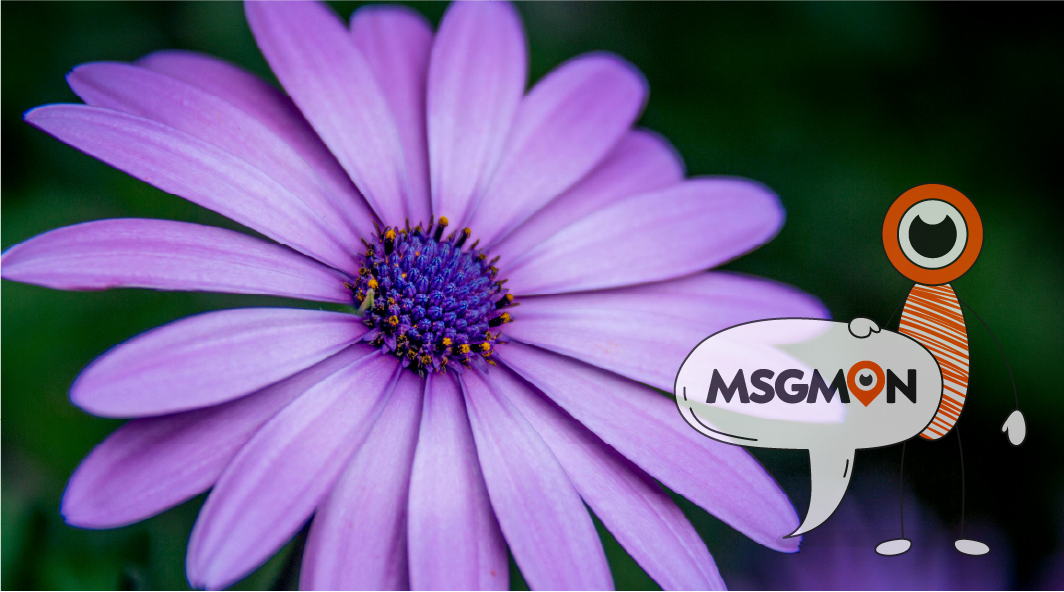 마사지 전 준비 사항