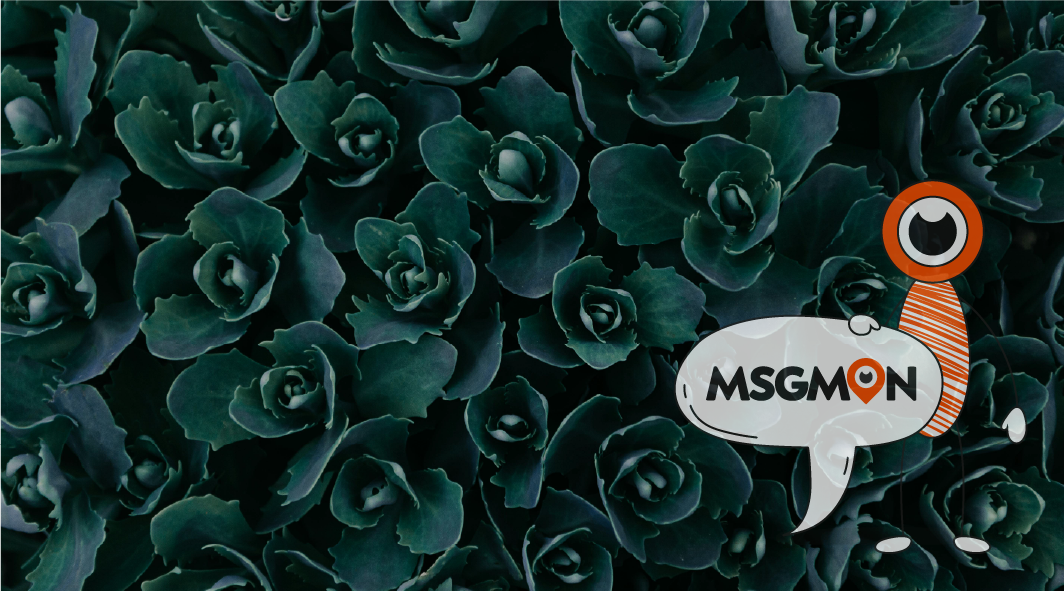 힐링 코스 비용