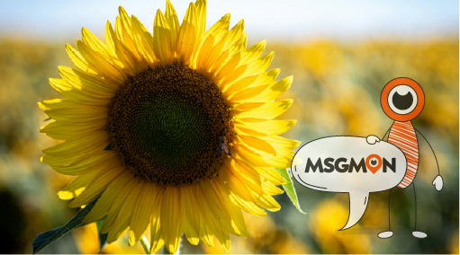 스웨디시 VIP 코스란?