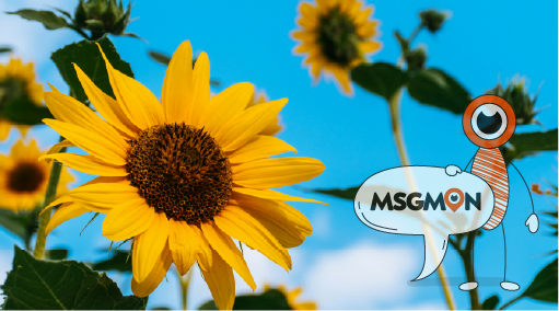 스웨디시 마사지의 기본 이해