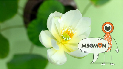 스웨디시 립 뜻