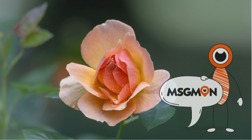 스웨디시 립 뜻