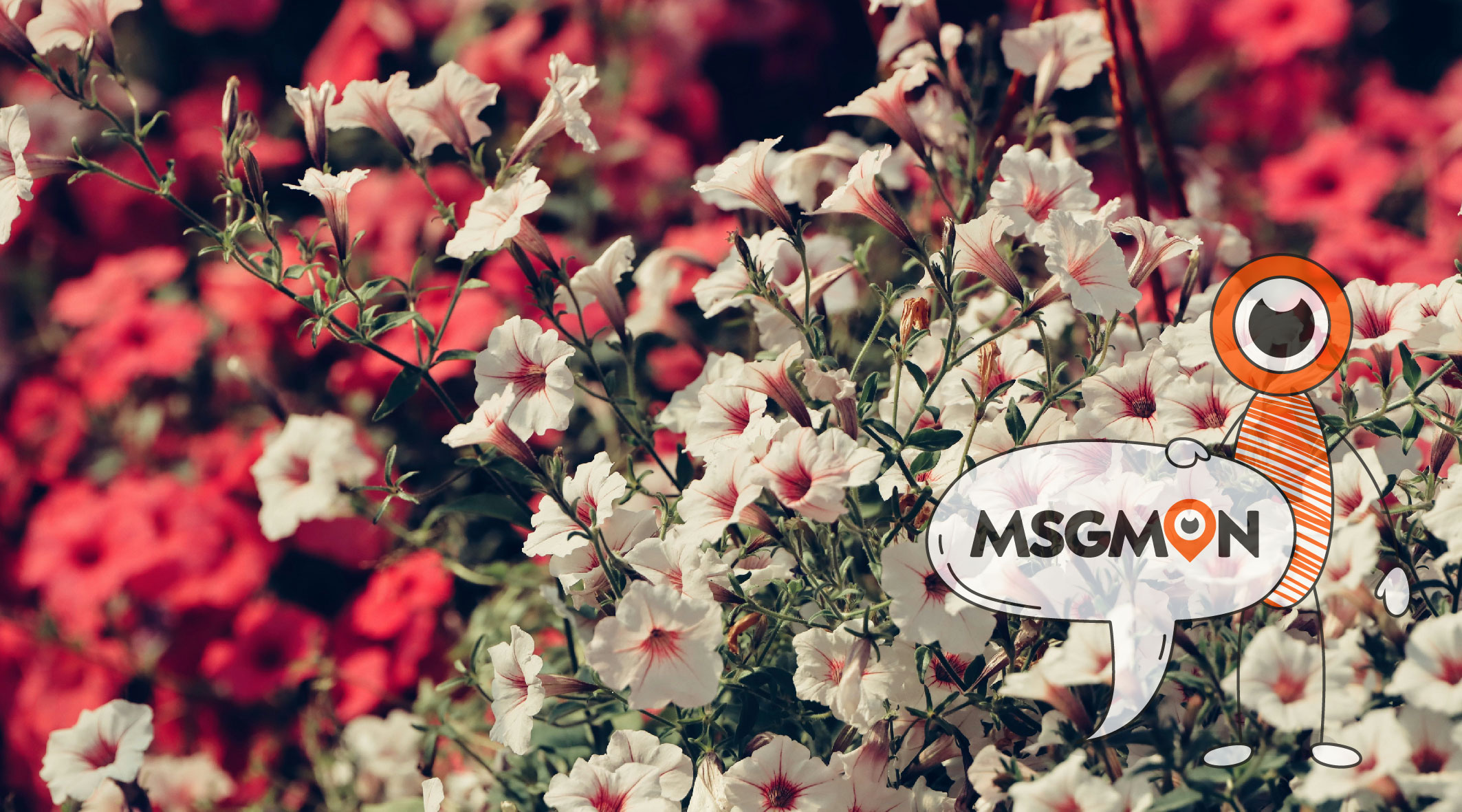 림프 스웨디시 뜻