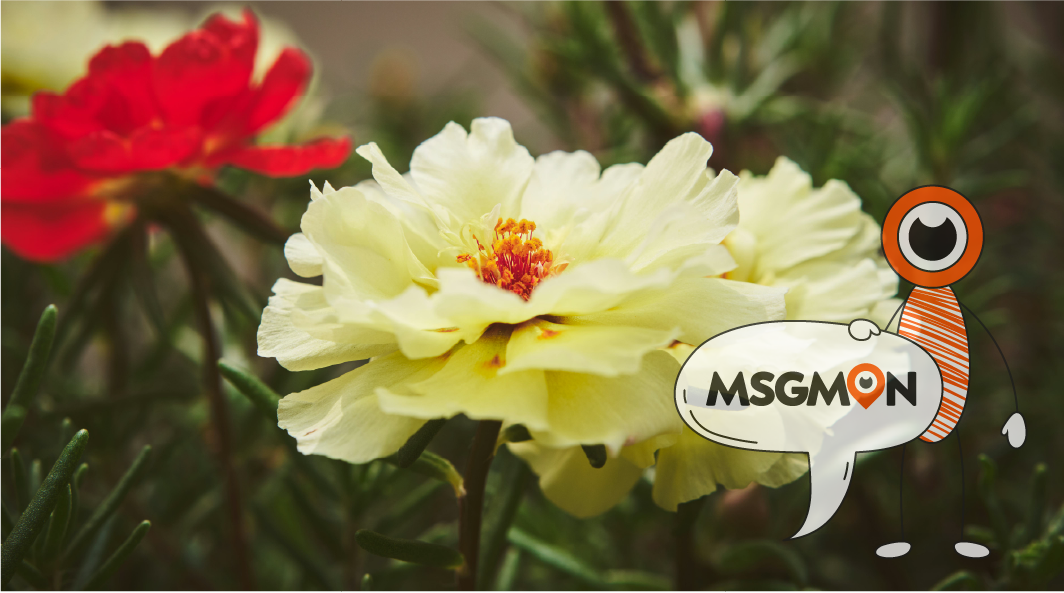 예약 없이 방문할 경우의 문제점