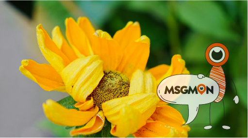 스웨디시 립 뜻