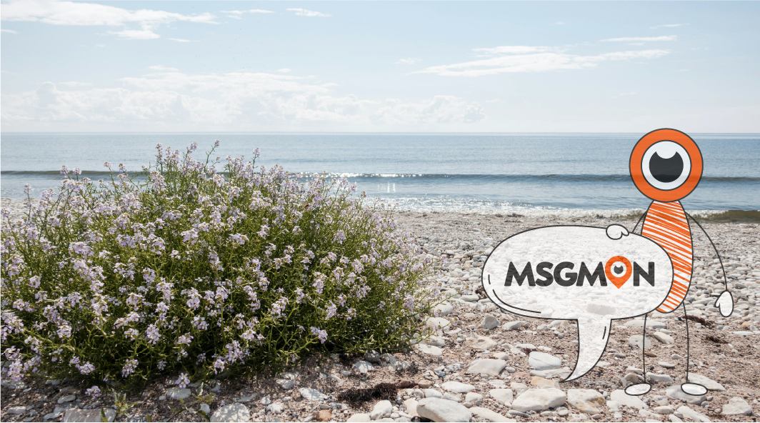 마사지 종류별 옷차림 가이드