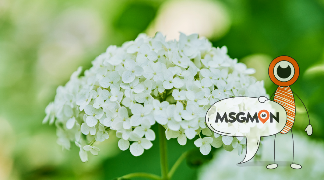 활동 후에 마사지를 받으세요