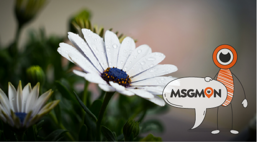 옵션 추가 시 고려사항