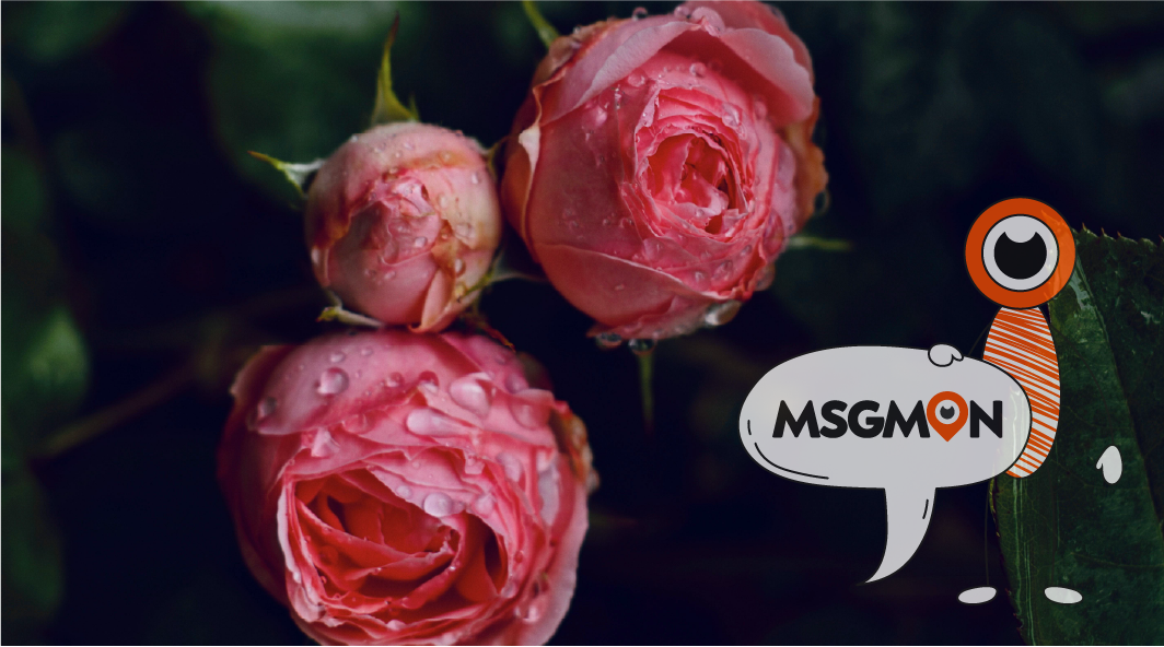 마사지 힐링 코스란?