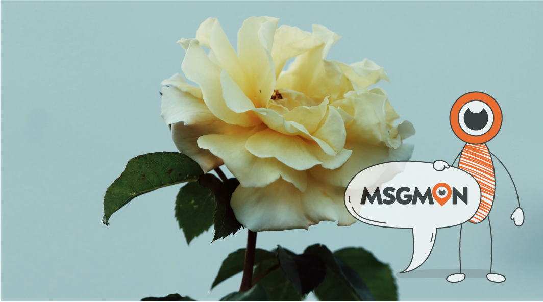 마사지 내상이란?