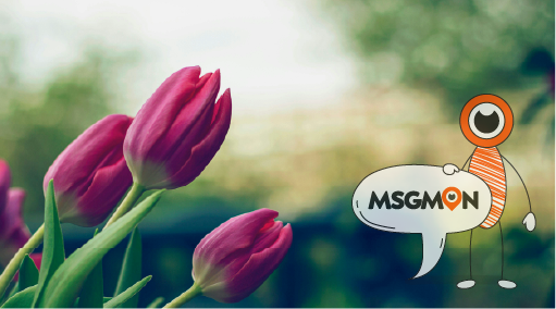 불건전 마사지샵을 피하는 방법