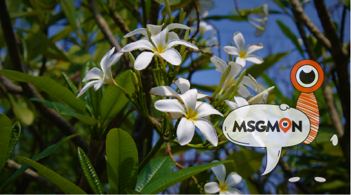 다양한 마사지 옵션