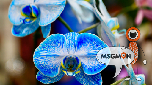 나만의 맞춤형 마사지 선택하기